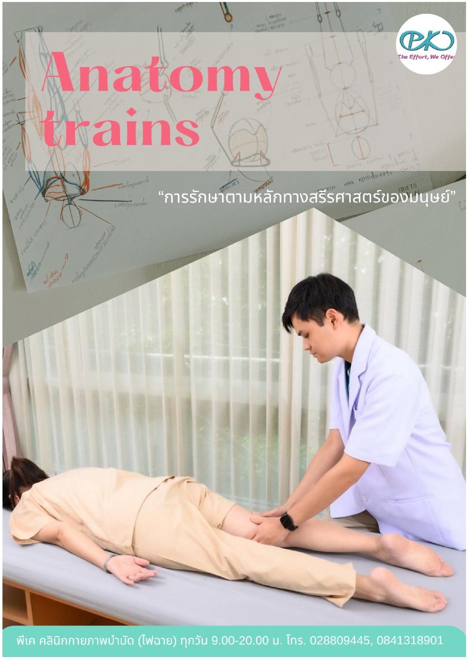 Anatomy Trains